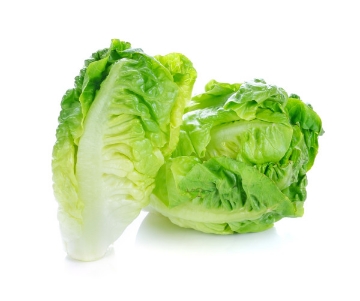 Picture of Baby Cos Lettuce | Twin Pack