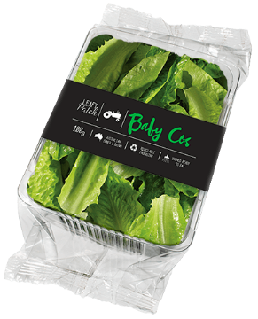 Picture of Leafy Patch Baby Cos Lettuce | 100g