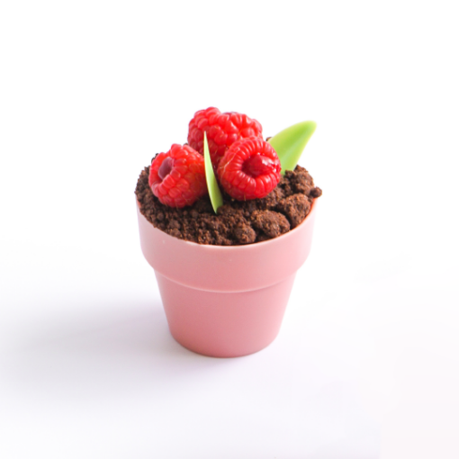 Picture of Flower Pot Chocolate Raspberry 
