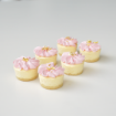 Picture of Cheesecake Pink Mini